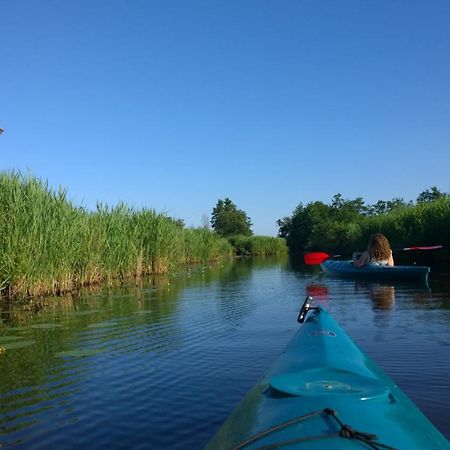 B&B De Zilverreiger Belt-Schutsloot Zewnętrze zdjęcie