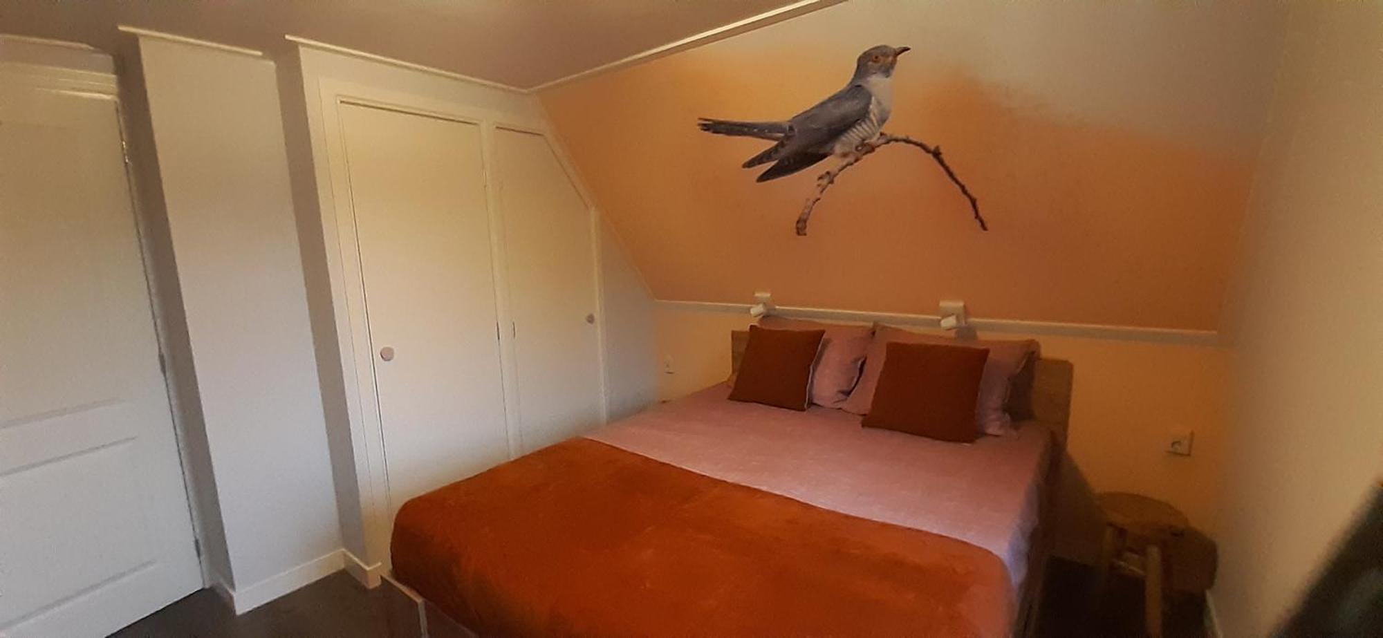 B&B De Zilverreiger Belt-Schutsloot Zewnętrze zdjęcie
