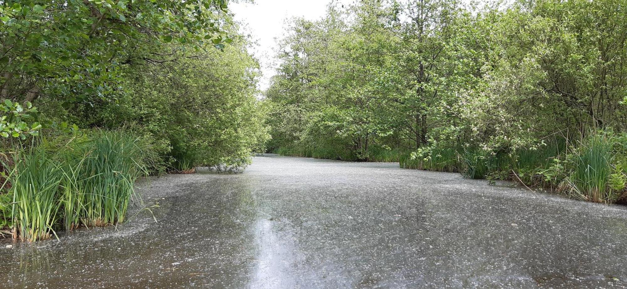 B&B De Zilverreiger Belt-Schutsloot Zewnętrze zdjęcie