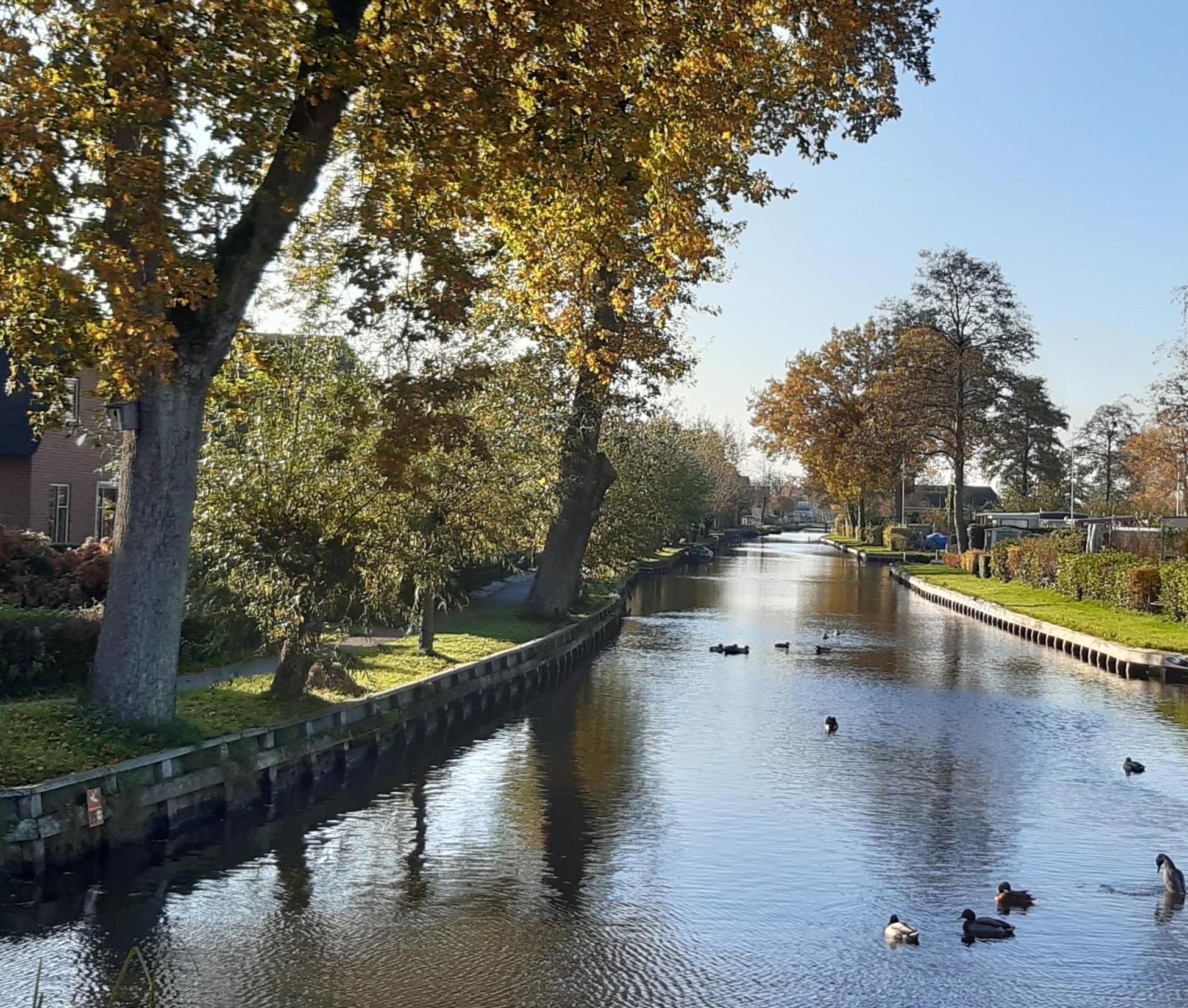 B&B De Zilverreiger Belt-Schutsloot Zewnętrze zdjęcie